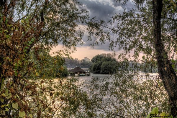 Foto: Jovana Kuzmanović