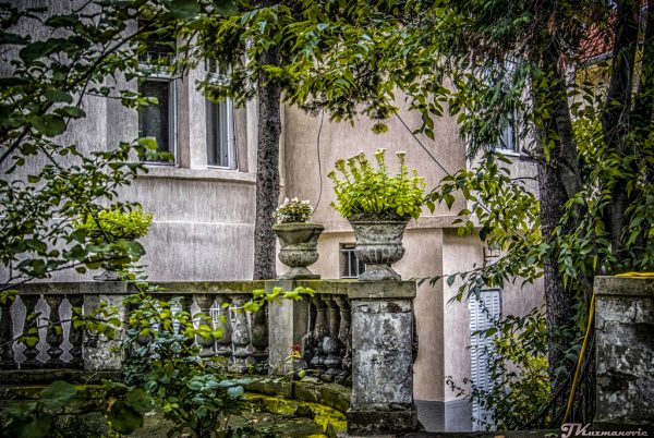 Foto: Jovana Kuzmanović