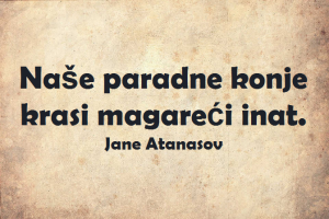 Dnevna doza aforizma