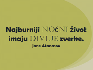 Dnevna doza aforizma