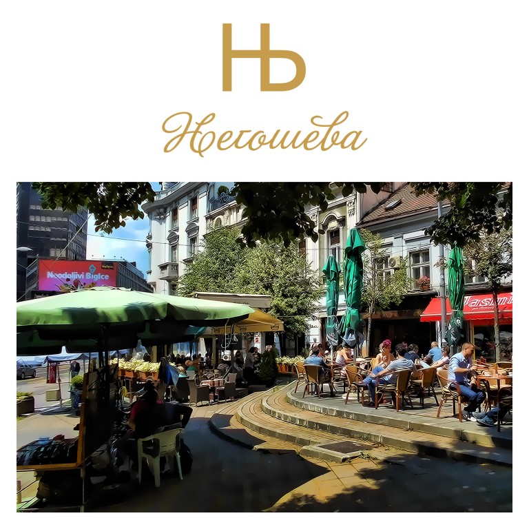 Autor Miroslav Lj Ranković