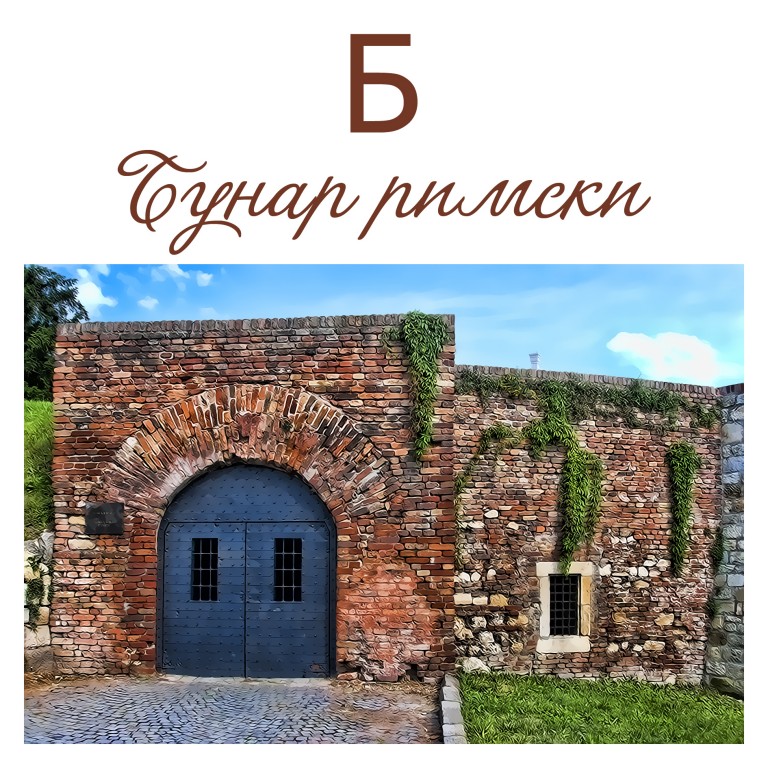 Autor Miroslav Lj Ranković