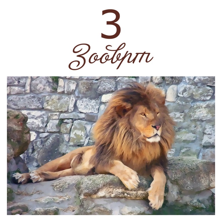 Autor Miroslav Lj Ranković