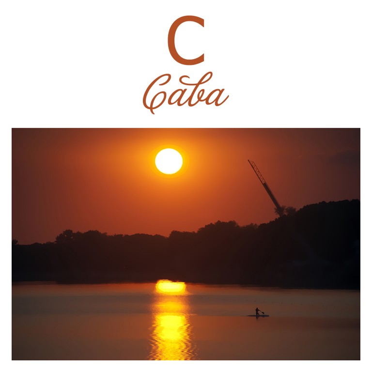 Autor Miroslav Lj Ranković