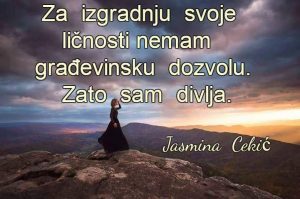 13599848_1742537669291469_5184949027073674204_n