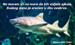 Dnevna doza aforizma