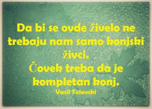 13620742_1104355159645126_260534717118904645_n