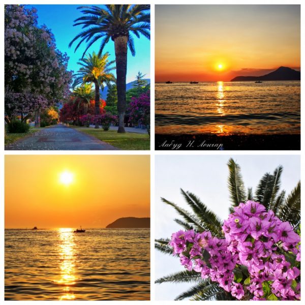 Foto: Labud N. Lončar