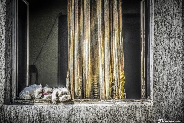 Foto: Jovana Kuzmanović