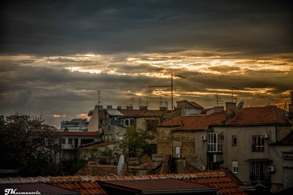 Foto: Jovana Kuzmanović