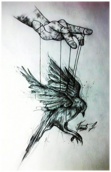 Autor: DRAGANA PAŠIĆ