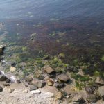 Foto: Marija Pašalić