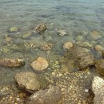 Foto: Marija Pašalić