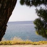 Foto: Marija Pašalić