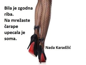 Dnevna doza aforizma