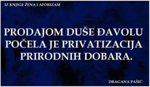 13882566_1750830638462172_9220007845035132571_n