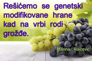 13932904_1759717827573453_5482303361845762818_n