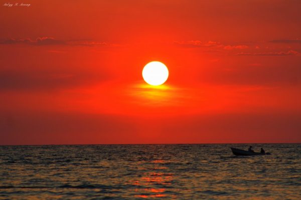 Foto: Labud N. Lončar