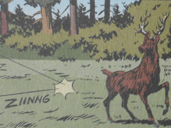 Foto: Mišo Koprivica