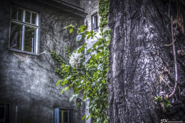 Foto: Jovana Kuzmanović