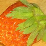 Foto: Marija Pašalić