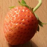 Foto: Marija Pašalić