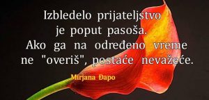 14063738_1763403793871523_1292799507566265512_n