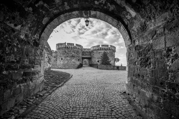 Foto: Dušan Stojančević