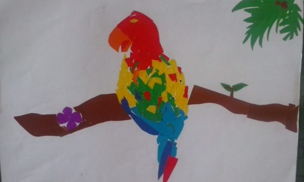 pavle-dunic-i-novak-markovic