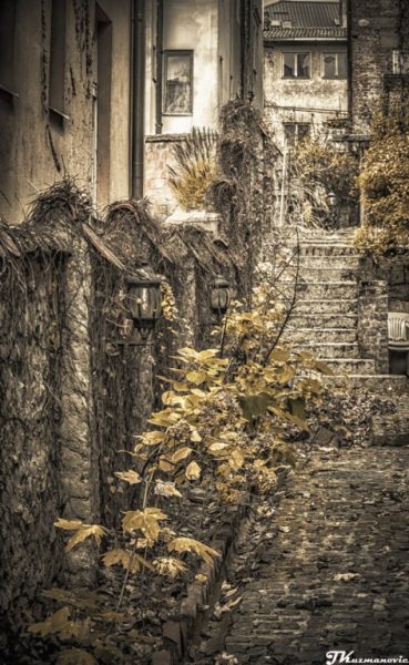 Foto: Jovana Kuzmanović