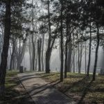 Foto: Jovana Kuzmanović