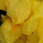 Foto: Marija Pašalić