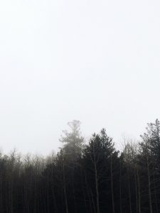 Foto:Tanja Radivojević