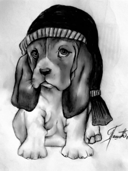 Autor: DRAGANA PAŠIĆ