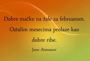 Dnevna doza aforizma