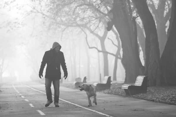 Foto: Dušan Stojančević