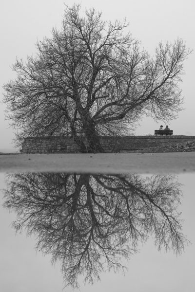 Foto: Dušan Stojančević