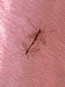 Foto: Marija Pašalić