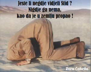 12919729_1709824969229406_225418489115587566_n