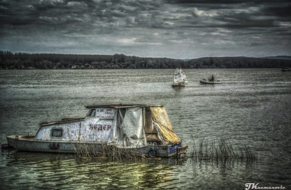 Foto: Jovana Kuzmanović