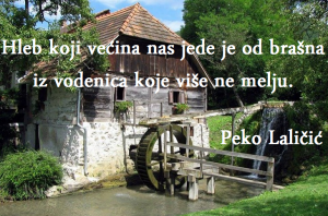 Dnevna doza aforizma