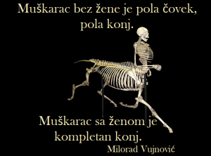 Dnevna doza aforizma