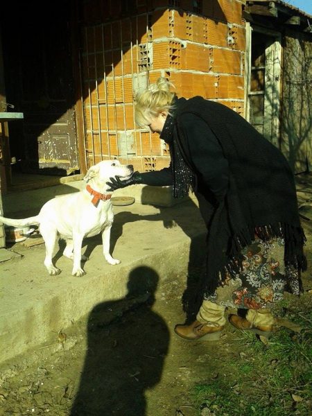 Draga Zarev profesor Sociologije i Građanskog vaspitanja