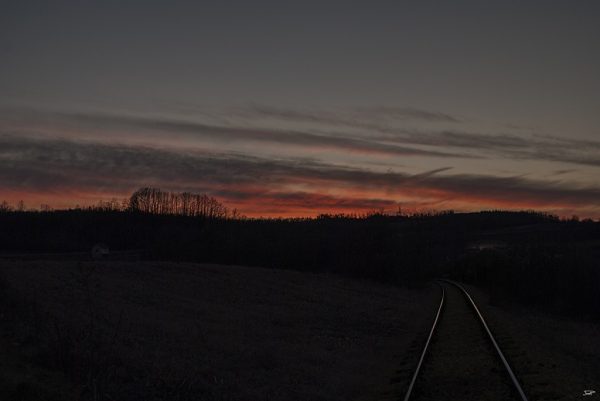 Foto: Pavlovic Jovan