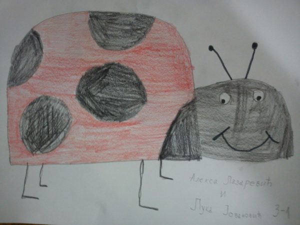 Autor: Aleksa Lazarević  i Luka Jovanović IV1 Učitelj: Zoran Todorović OŠ "Radoje Domanović" Kragujevac